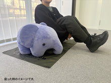 画像をギャラリービューアに読み込む, DOMDOM ピクニックシート
