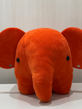 画像をギャラリービューアに読み込む, どむぞうくんピアス
