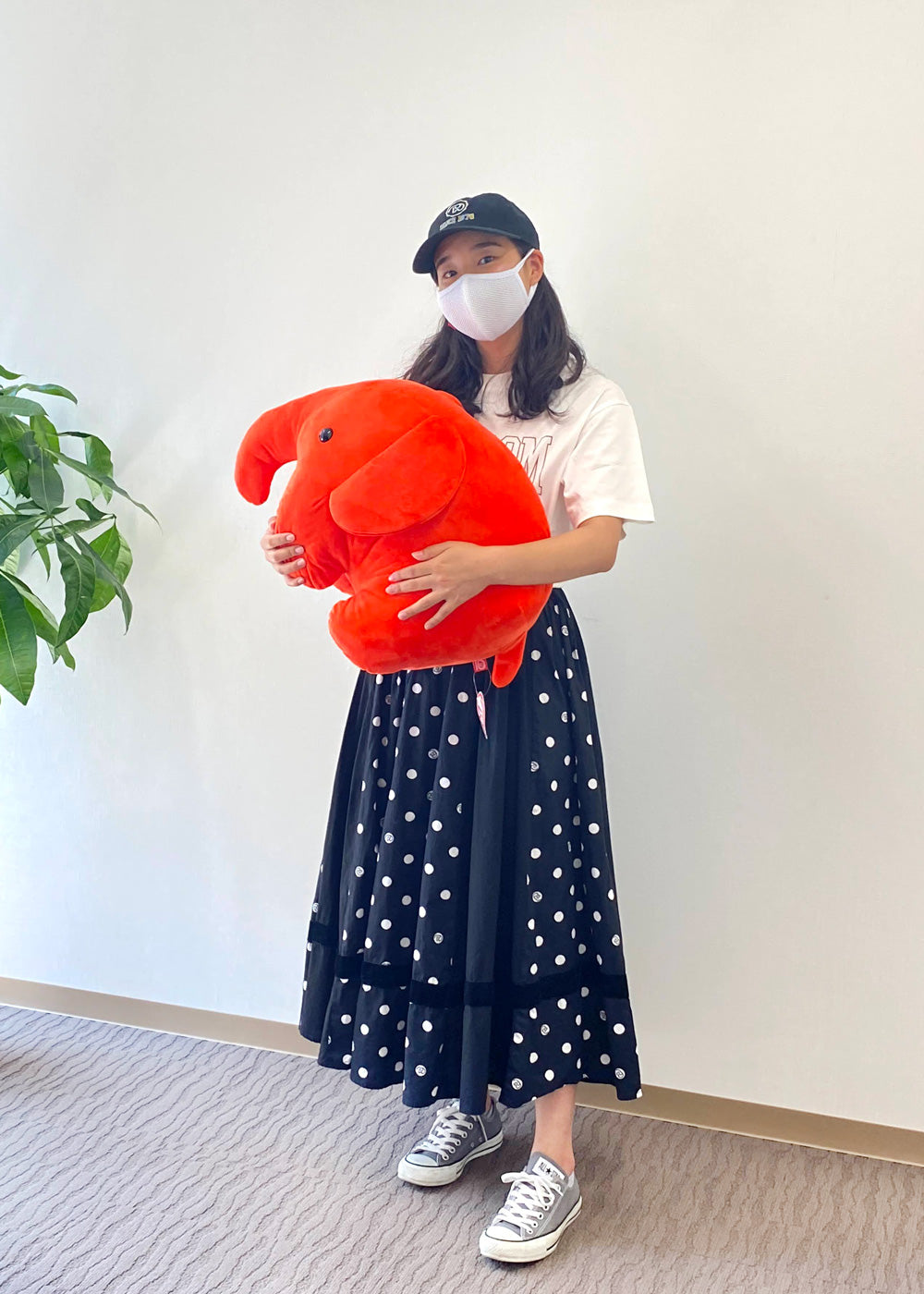 どむぞうくん ぬいぐるみ 大 – ドムドムオンラインショップ